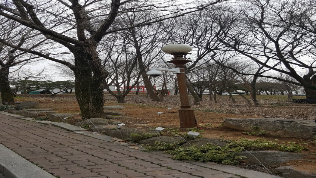 ☆20170322_142217.jpg