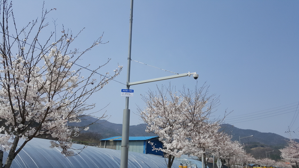 ☆20170411_122918.jpg