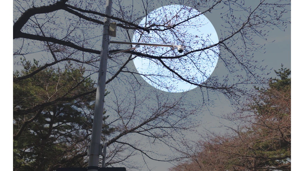 벚꽃길02.jpg