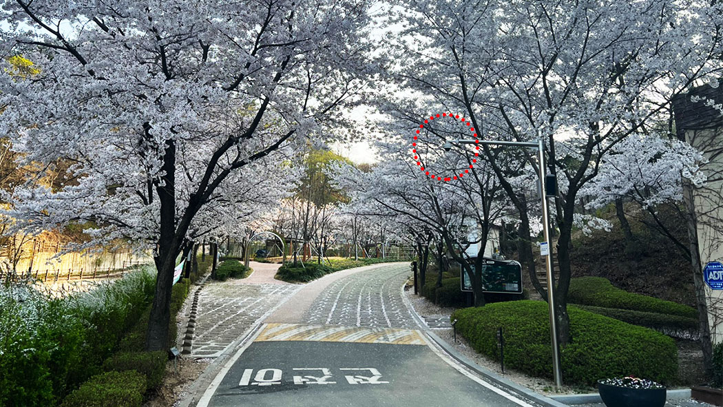 jungmyung01.jpg