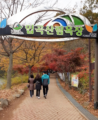함안 입곡산림욕장