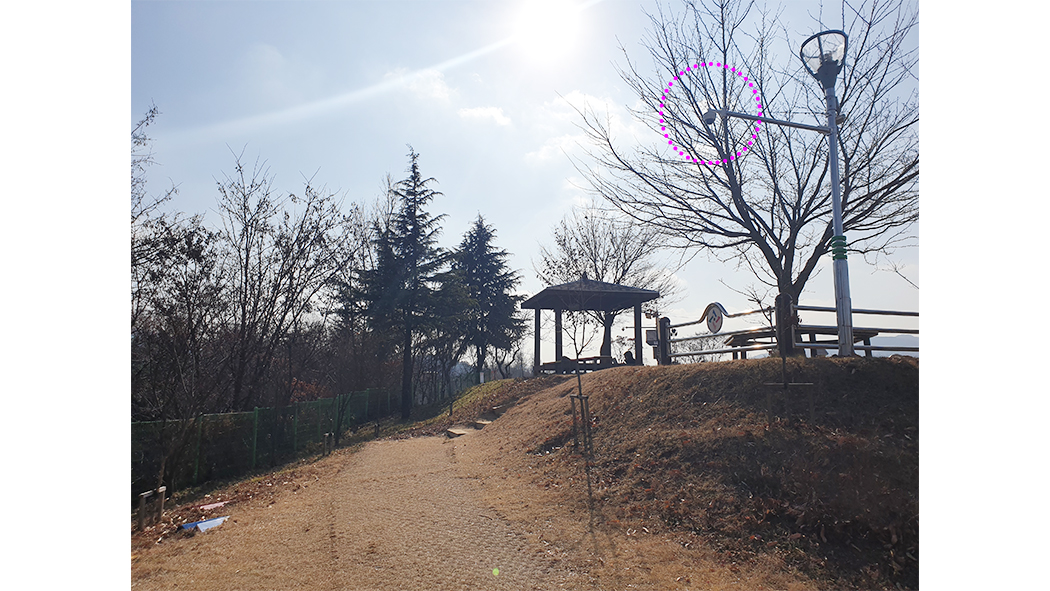 대전_대동하늘공원_피플카운트03_다인스.jpg