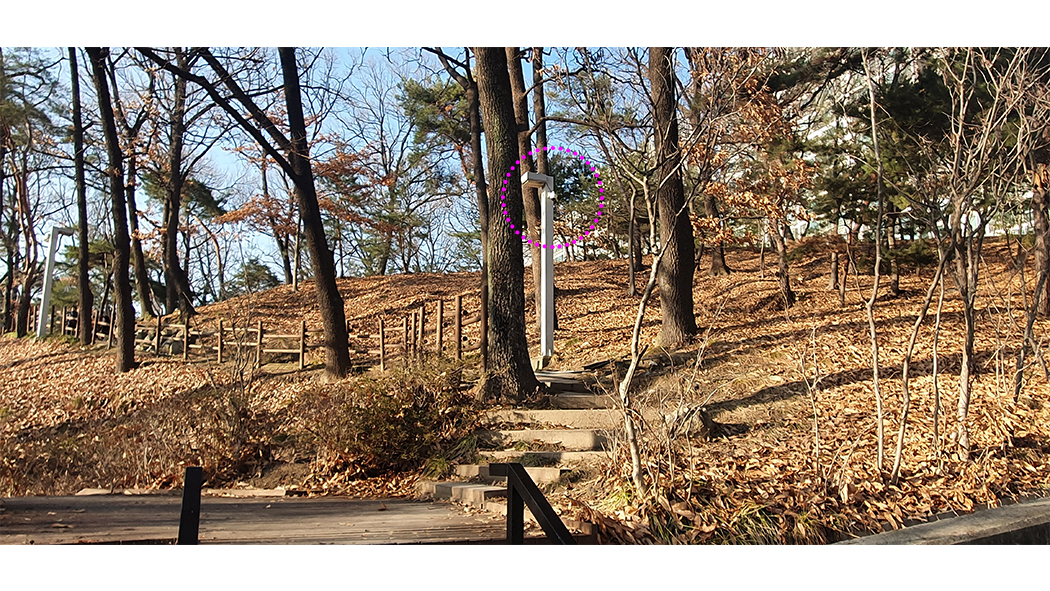 대전_동춘당공원_피플카운트04_다인스.jpg