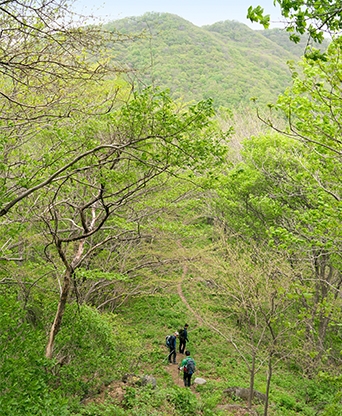 가평 보납산
