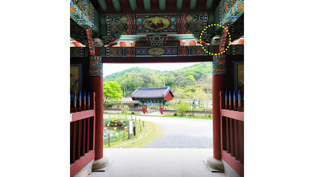 hwasun_0201.jpg