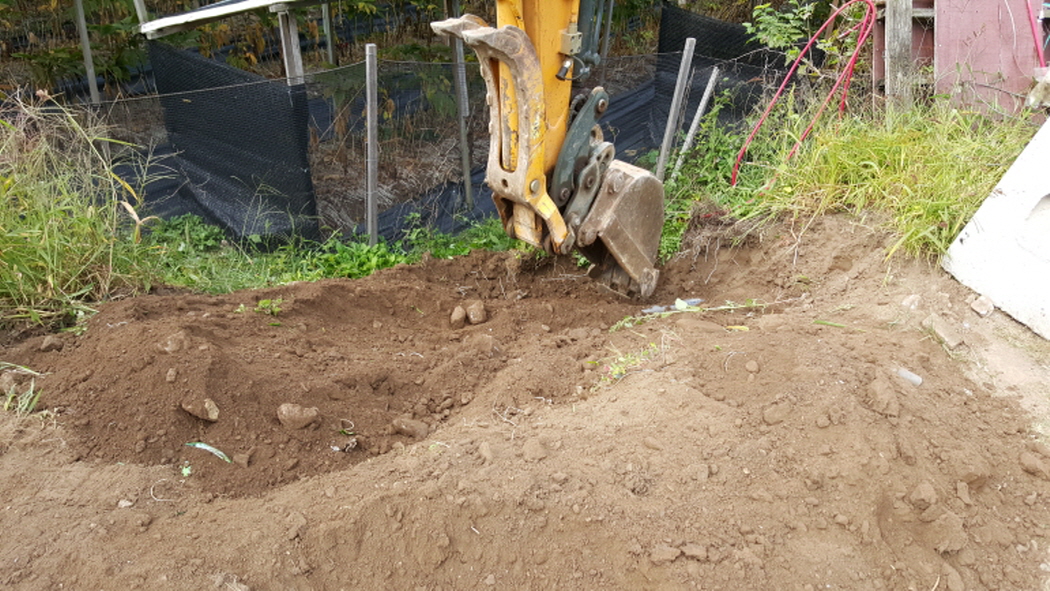 20150923_094653.jpg