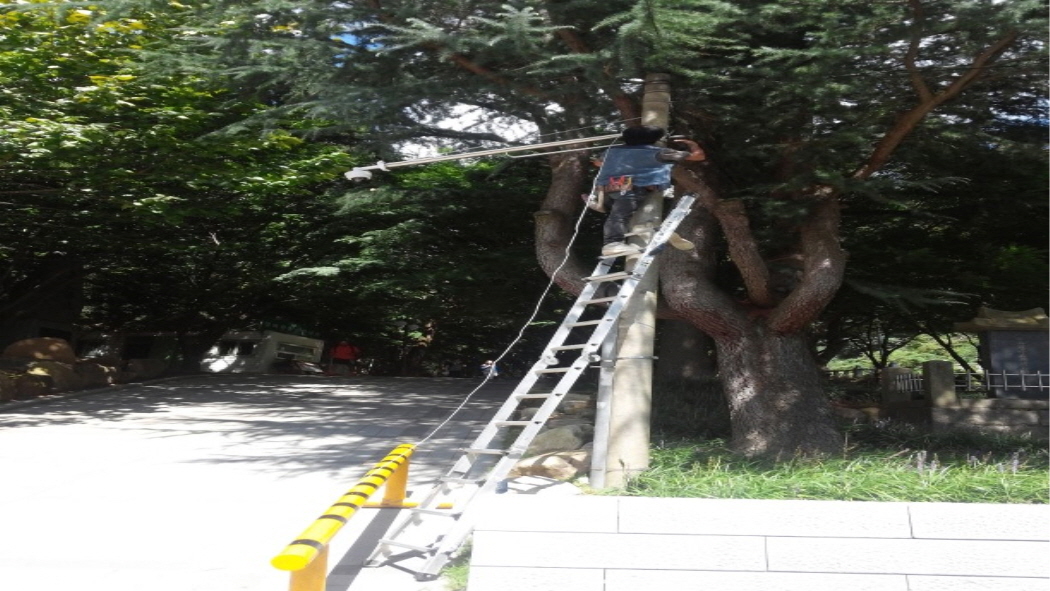 ☆20150907_133028.jpg